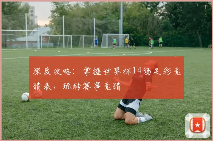 深度攻略:掌握世界杯14场足彩竞猜表,玩转赛事竞猜
