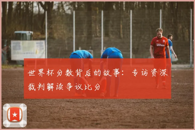 世界杯分数背后的故事:专访资深裁判解读争议比分