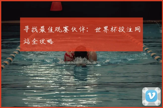 寻找最佳观赛伙伴:世界杯投注网站全攻略
