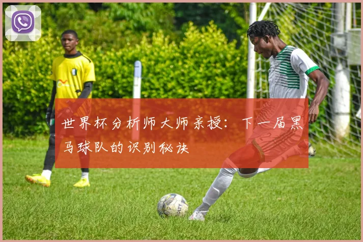 世界杯分析师大师亲授：下一届黑马球队的识别秘诀